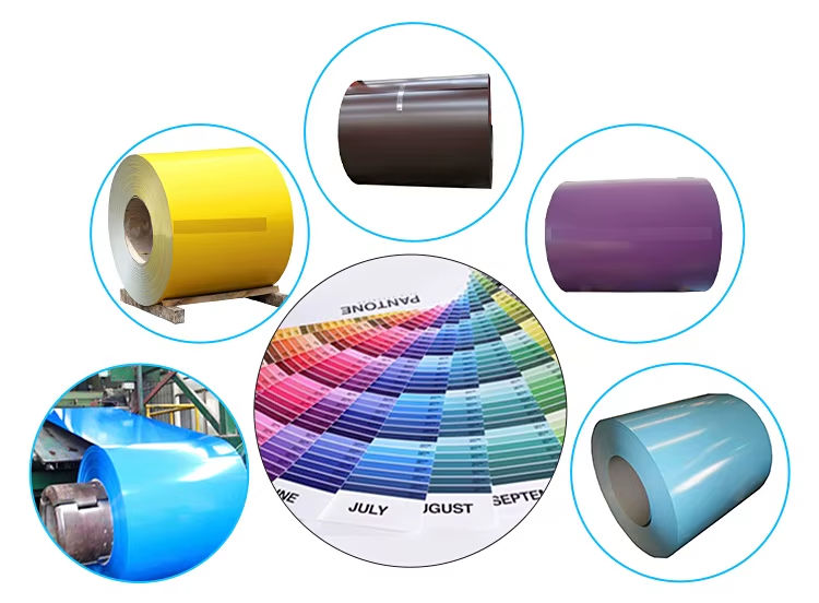 Colour Coated Coil 3
