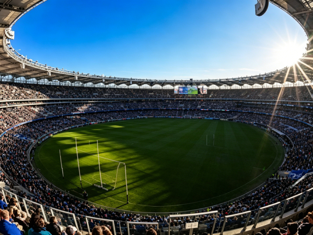 application of steel structure sports stadium