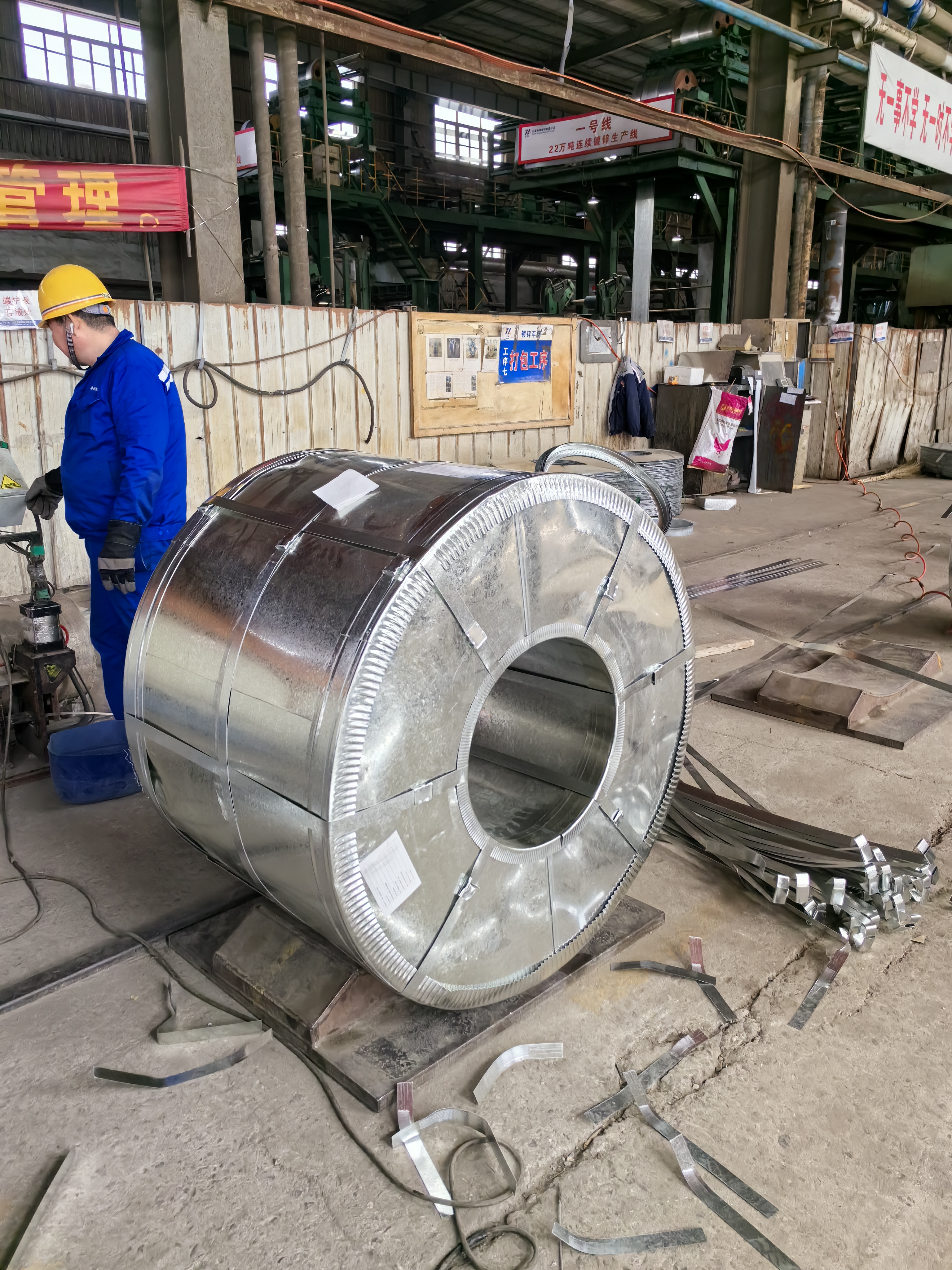 galvanized coil (4)